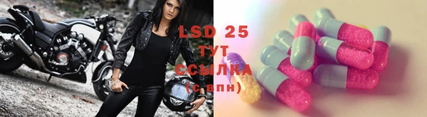 ECSTASY Покровск