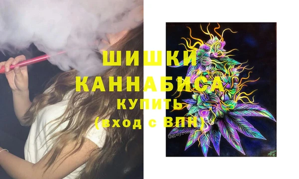 спайс Покачи