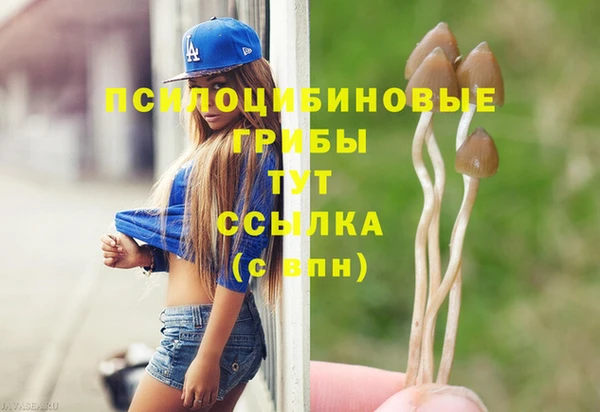 амфетамин Алексеевка