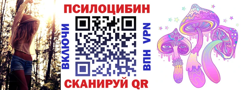 Псилоцибиновые грибы Cubensis  Новоульяновск 